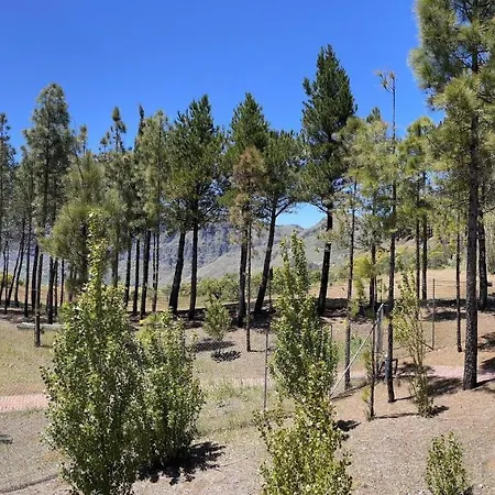 Cabana El Nublo * Tejeda (Gran Canaria)
